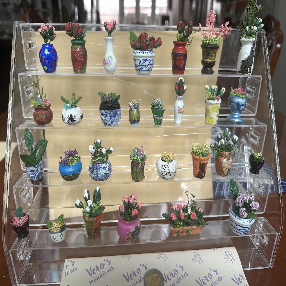 MACETAS CON FLORES MINIATURA